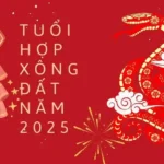 Avatar1737427139867 17374271402831773420846