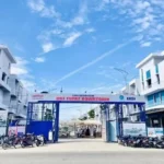 Nam 2024 Cua Bgi Group Lai Mong Det Tiep Tuc Am Dong Tien Kinh Doanh