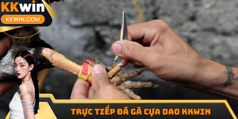 Trực Tiếp Đá Gà Cựa Dao KKWIN - Thoải Mái Cá Cược Lãi Lớn